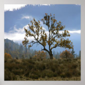 Nebel im Tal... Poster (Vorne)