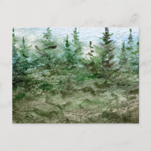 "Nebel in den Kiefern" Postkarte (Vorderseite)