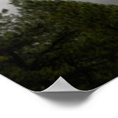Nebel in den Rocky Mountains Poster (Ecke)