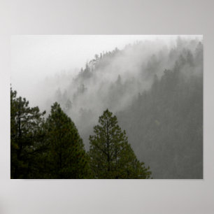 Nebel in den Rocky Mountains Poster