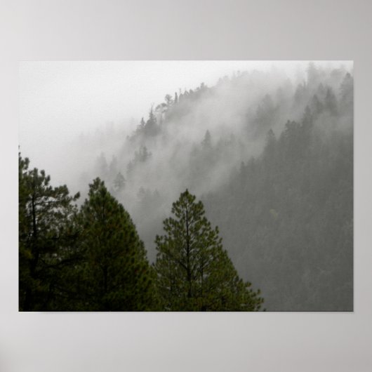 Nebel in den Rocky Mountains Poster (Vorne)