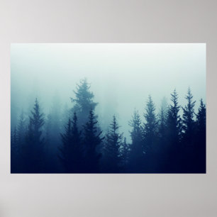 Nebel in Pinienwald auf den Berghängen. Farbe Poster