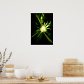 Nebel Poster (Küche)