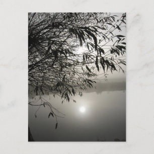 Nebel-Schattenkarte Postkarte