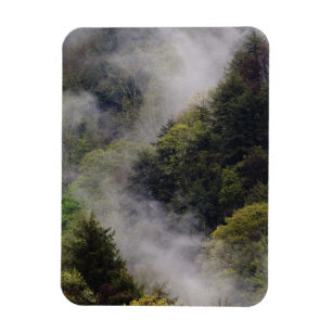Nebel steigt nach Frühlingsregen vom Berghang auf, Magnet