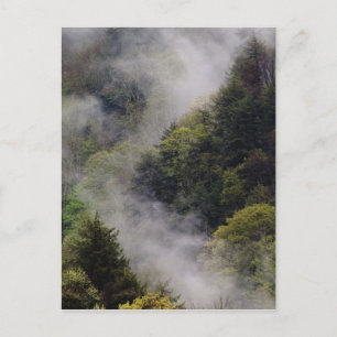 Nebel steigt nach Frühlingsregen vom Berghang auf, Postkarte