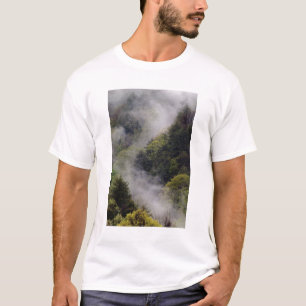 Nebel steigt nach Frühlingsregen vom Berghang auf, T-Shirt