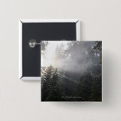 Nebel u. Sun-Strahlen in einem Washington-Wald Button (Vorne & Hinten)