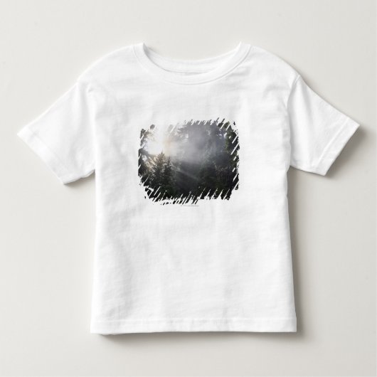 Nebel u. Sun-Strahlen in einem Washington-Wald Kleinkind T-shirt (Vorderseite)