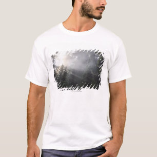 Nebel u. Sun-Strahlen in einem Washington-Wald T-Shirt