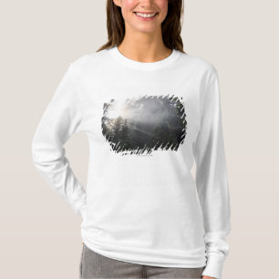 Nebel u. Sun-Strahlen in einem Washington-Wald T-Shirt