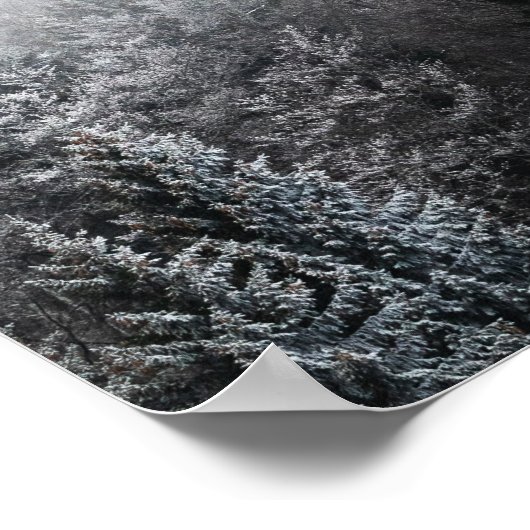 Nebel über gefrorenem Wald Poster (Ecke)