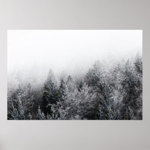 Nebel über gefrorenem Wald Poster