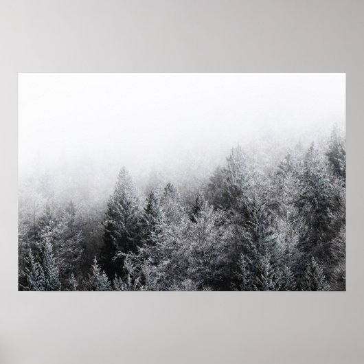 Nebel über gefrorenem Wald Poster (Vorne)