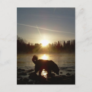 Nebel über Mississippi River Postkarte