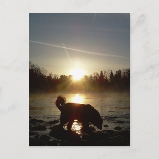 Nebel über Mississippi River Postkarte (Vorderseite)