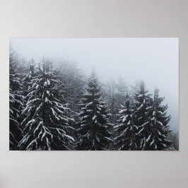 Nebel über schneebedeckten Fichtenwald im Winter Poster