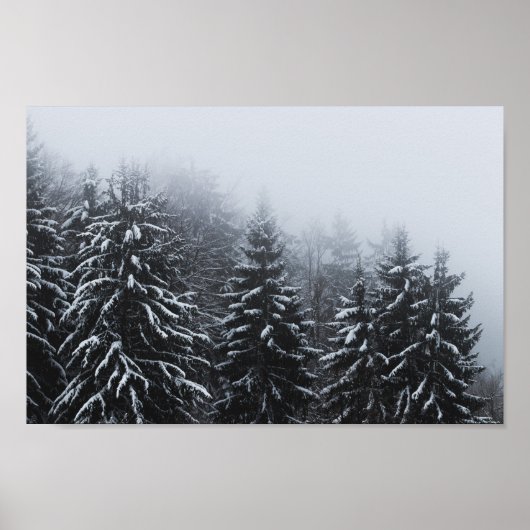 Nebel über schneebedeckten Fichtenwald im Winter Poster (Vorne)
