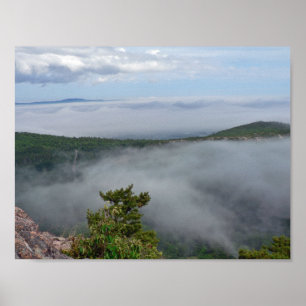 Nebel um Great Head, Acadia NP, Maine Poster