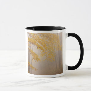Nebel und Herbstlaub, Great Smoky Mountains Tasse