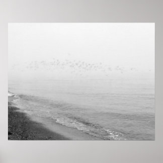 Nebel- und Regenlandschaft entlang der Küste Poster