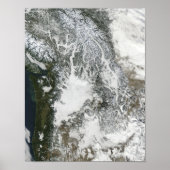 Nebel und Schnee im Pazifischen Nordwesten (wahre  Poster (Vorne)