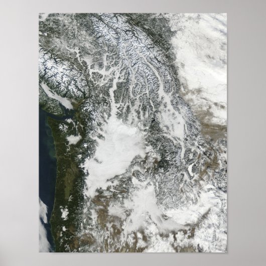 Nebel und Schnee im Pazifischen Nordwesten (wahre  Poster (Vorne)