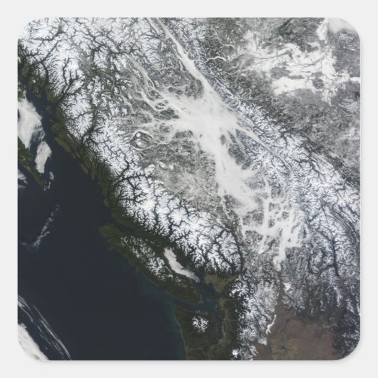 Nebel und Schnee in British Columbia Quadratischer Aufkleber (Vorderseite)