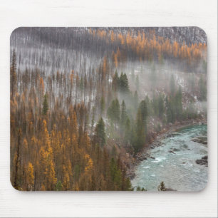 Nebel zieht über Herbst-Lärchen herein Mousepad