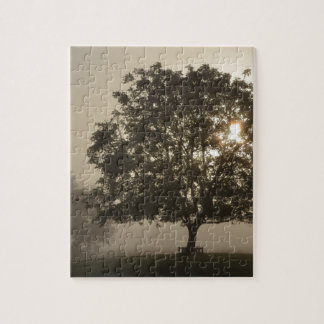 Nebelbaume Puzzle