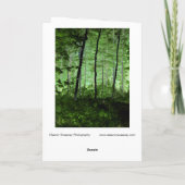 Nebelbäume: verändertes Foto im Adirondack-Wald Karte (Rückseite)