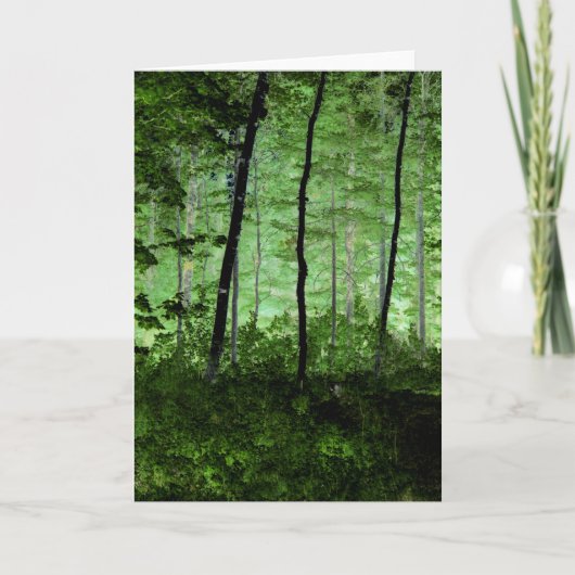 Nebelbäume: verändertes Foto im Adirondack-Wald Karte (Vorderseite)