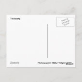 Nebelboote Postkarte (Rückseite)