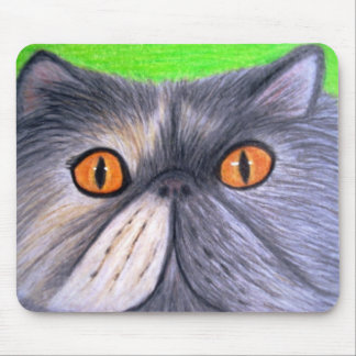 Nebelhaft die graue persische Katze Mousepad