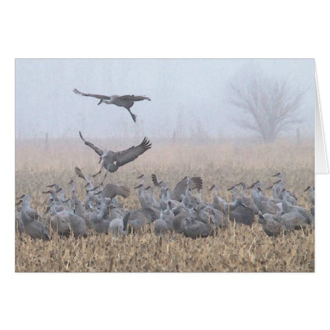 Nebelhafte Morgen-Nebraska-Landung (Vorderseite (Horizontal))