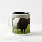 Nebelhafte Szene umgeschnallter Galloway-Kuh, die Zweifarbige Tasse (Vorderseite Links)