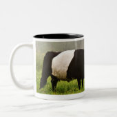 Nebelhafte Szene umgeschnallter Galloway-Kuh, die Zweifarbige Tasse (Links)