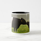 Nebelhafte Szene umgeschnallter Galloway-Kuh, die Zweifarbige Tasse (Mittel)