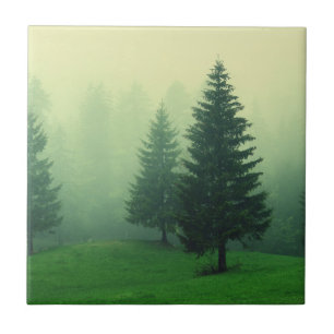 Nebelhafter Kiefern-Wald Fliese