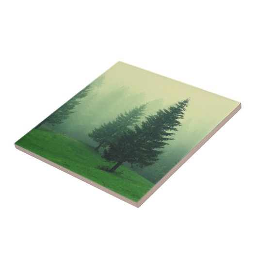 Nebelhafter Kiefern-Wald Fliese (Seite)