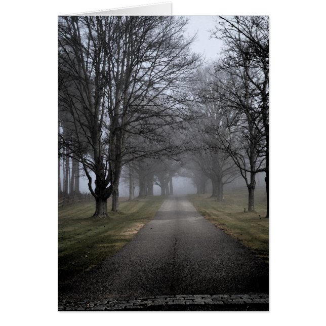 Nebelhafter Morgen in Maine (Vorne)