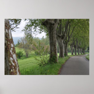 Nebelhafter Morgen in Provence-Druck Poster