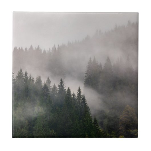 Nebelhafter Wald in den Bergen Fliese (Vorderseite)