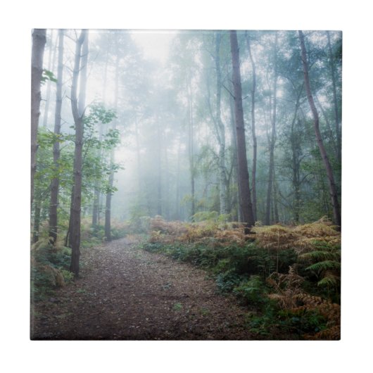 Nebelhafter Waldweg Fliese (Vorderseite)