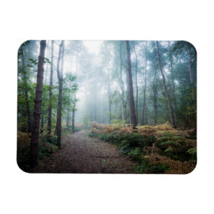 Nebelhafter Waldweg Magnet
