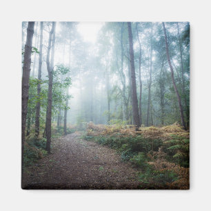 Nebelhafter Waldweg Magnet