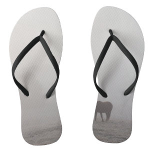 Nebelhaftes Grasen Badesandalen