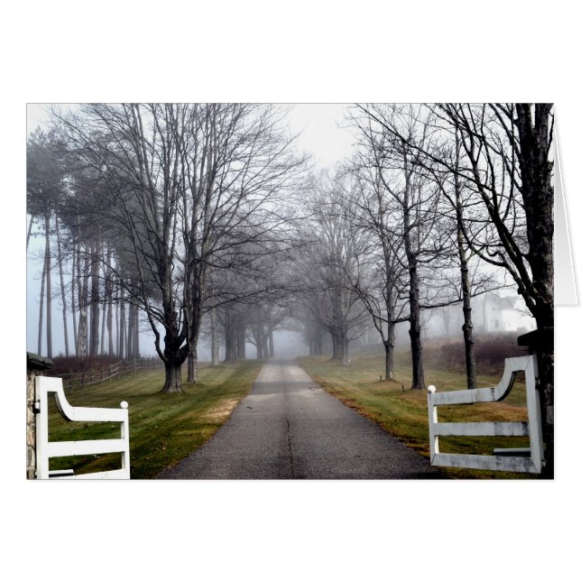 Nebelhaftes Morgen-Willkommen (Vorderseite (Horizontal))