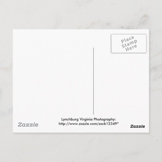 Nebelholz Postkarte (Rückseite)