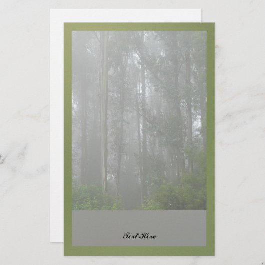 Nebelige Bäume Briefpapier (Vorne/Hinten)